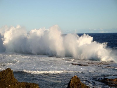 Mapu'av'avVaca Mapu'av'avVaca