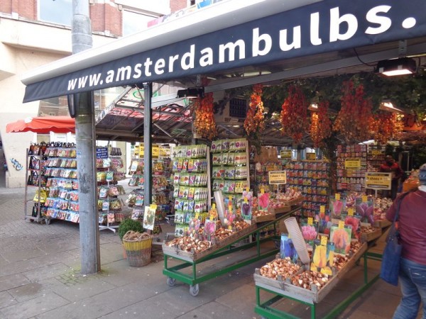 Prodej tulipánů, Amsterdam - Nizozemsko