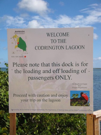 Codringtonská laguna - Barbuda, Malé Antily