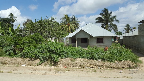 Dům - Zanzibar