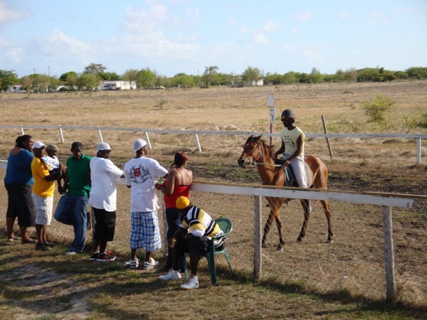 Dostihy, diváci - Barbuda, Malé Antily