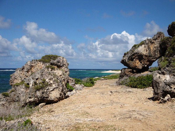 K jeskyni - Barbuda, Malé Antily