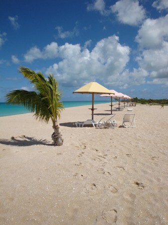 Pláž, palma - Barbuda, Malé Antily