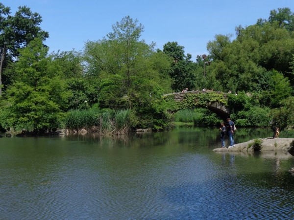 Mostek - Central Park, New York