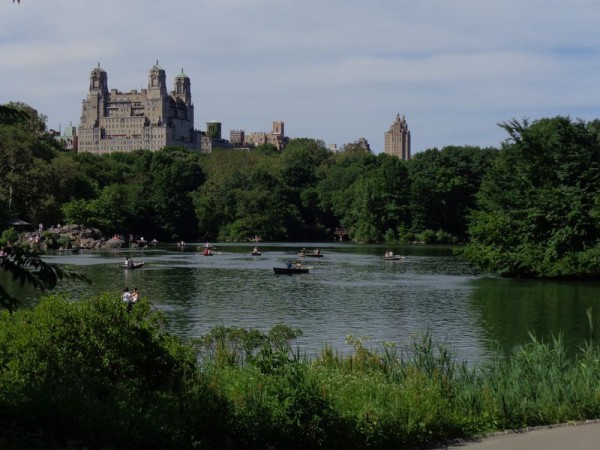 Vodní plochy - Central Park, New York