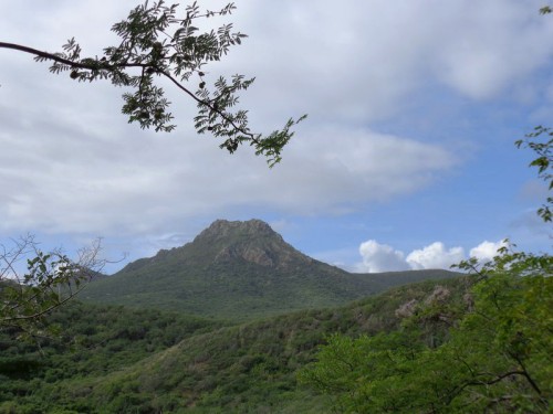 Curaçao - V parku hora