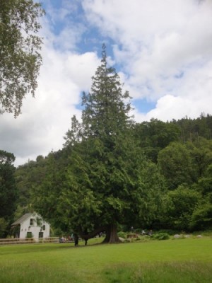 Gleann Dá Loch, Irsko