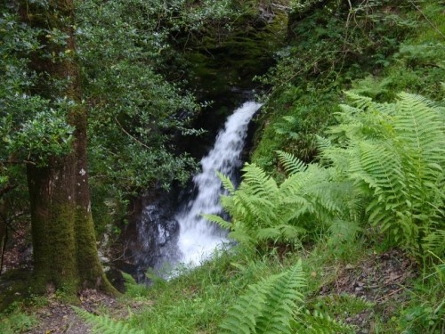 Vodopád Poulanass - Gleann Dá Loch, Irsko