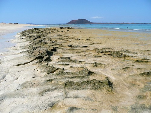 Pláž -  Fuerteventura