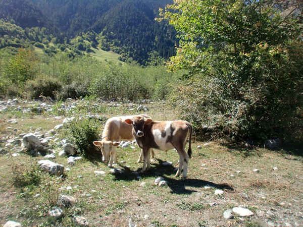 Oblast Svaneti - Gruzie