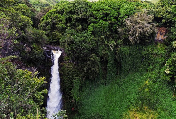 Vodopád - Mauii, Havajské ostrovy