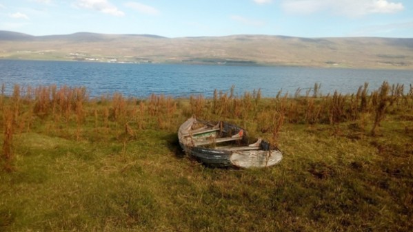 Jezero Mývatn - Island