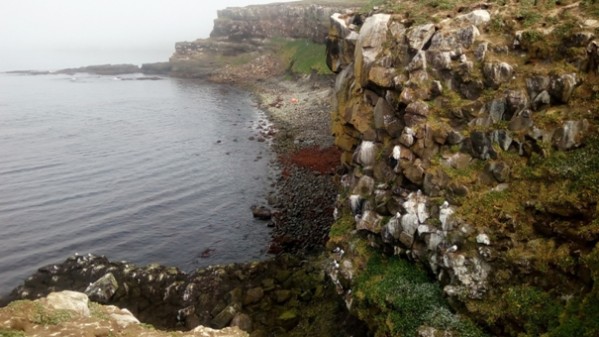 Ostrůvek Grimsey - Island