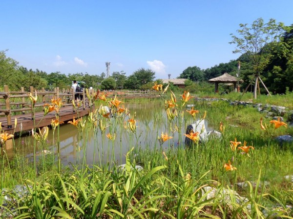 Wolmi park, jezírko - Jižní Korea
