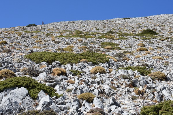 Pod Viglou - výstup Kerkis - Samos, Řecko