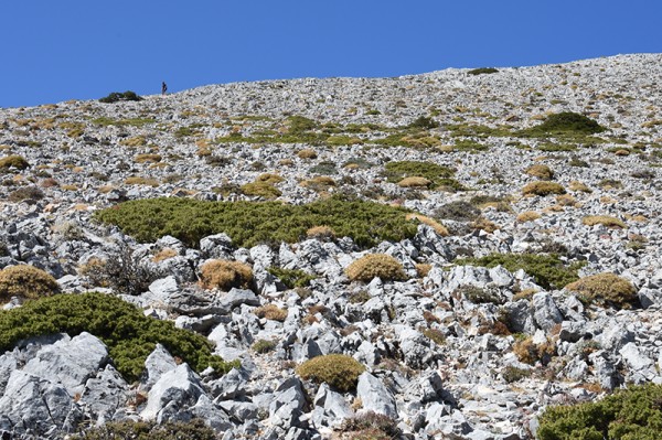 Pod Viglou - výstup Kerkis - Samos, Řecko