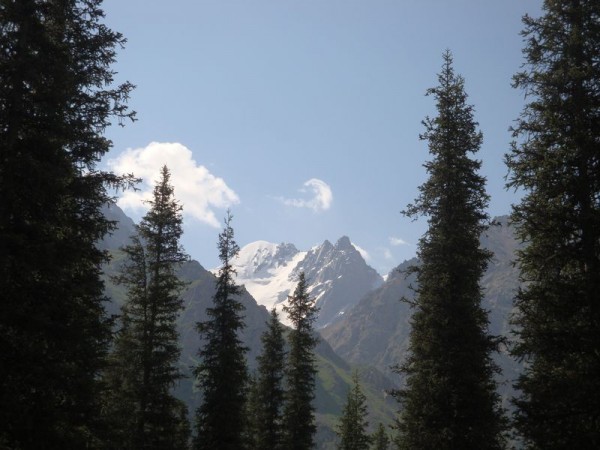 Ala Arča, stromy a hory - Kyrgyzstán