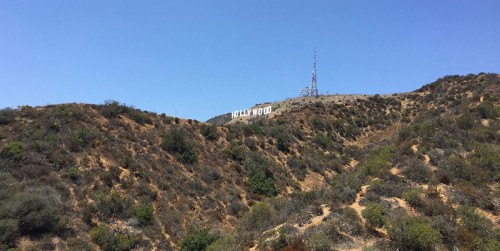 Hollywood Sign