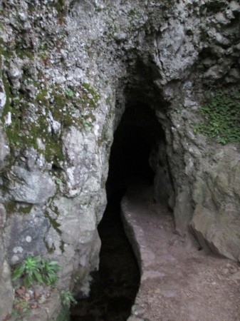 Levády - Madeira, Portugalsko