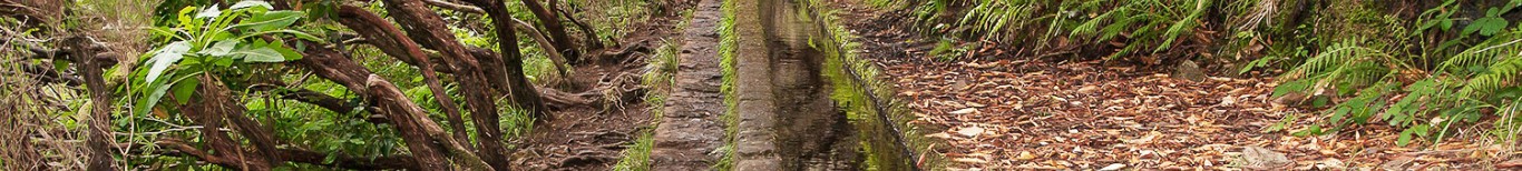 Madeira, krátká dovolená na ostrově věčného jara