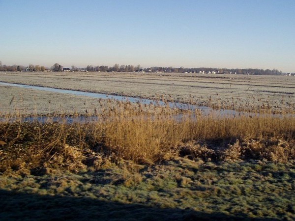 Nizozemí, zimní krajina z vlaku