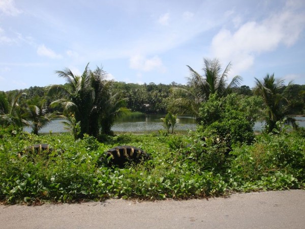 Buada laguna - Nauru