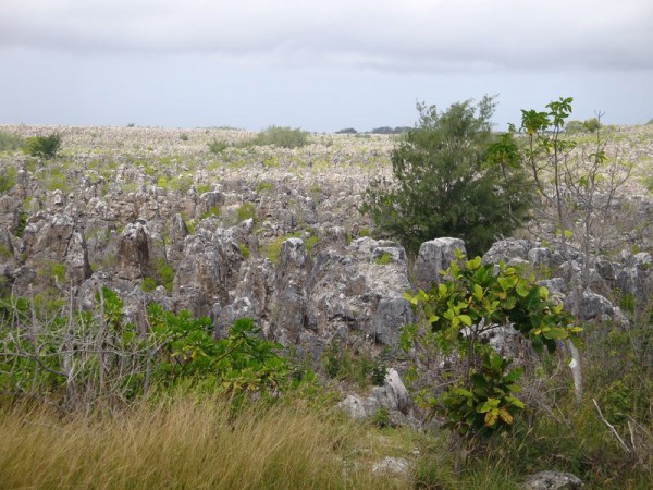 Vnitrozemí - Nauru