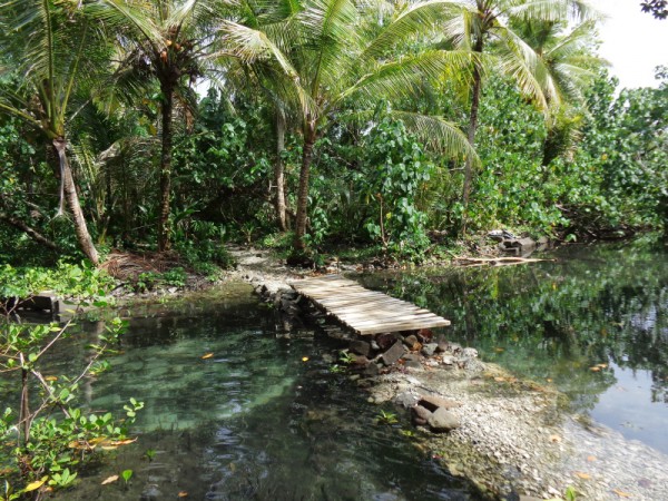 Cesta na Nan Madol, pěšina - Pohnpei, Mikronésie