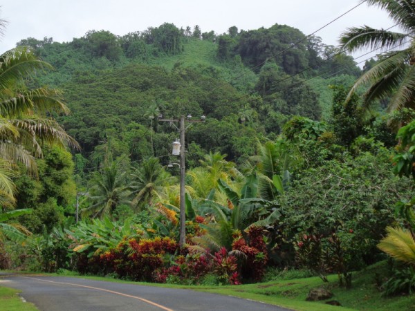 Vnitrozemí - Pohnpei, Mikronésie