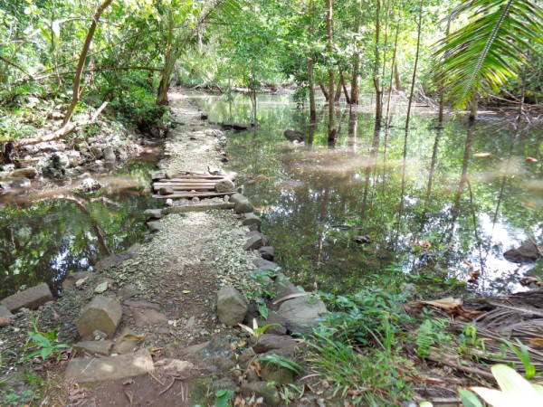 Cesta na Nan Madol - Pohnpei, Mikronésie