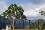 Kokoda Trail - Papua-Nová Guinea 1500.jpg