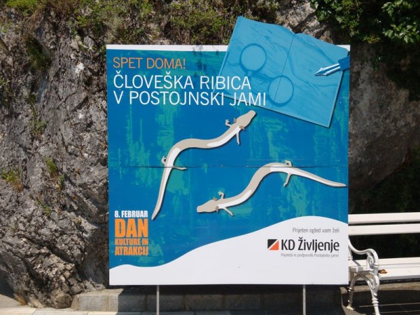 Reklama - Postojna, Slovinsko