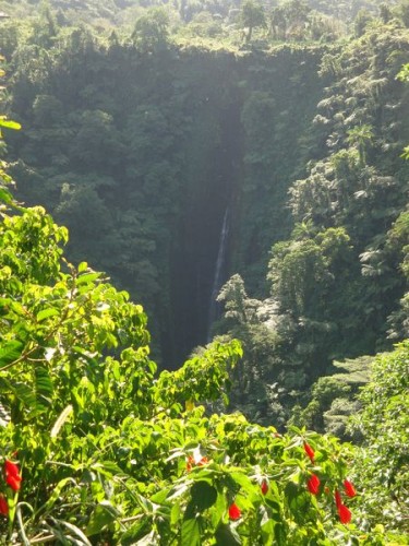 Papapapai-tai vodopád - Samoa, Polynésie
