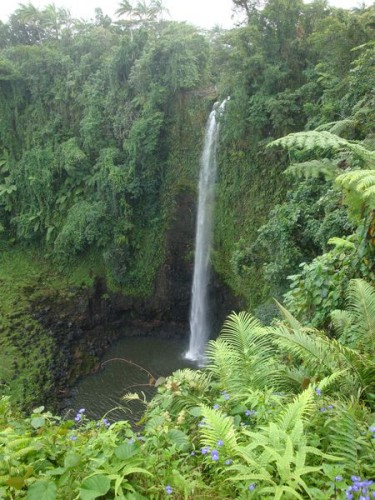 Vodopád Fuipisia - Samoa, Polynésie