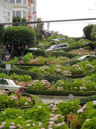 Lombard Street - San Francisco