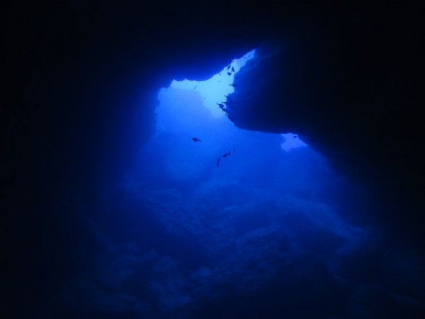 Potápění Grotto - Severní Mariany, Mikronésie, Tichomoří