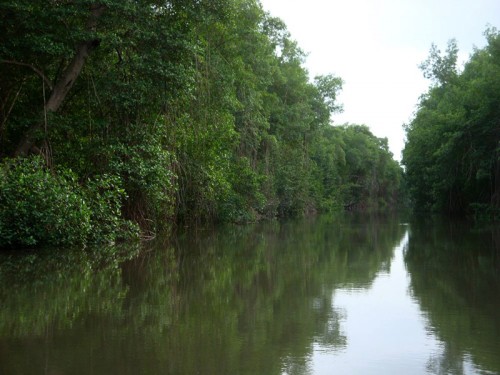 Coroni rezervace - Trinidad