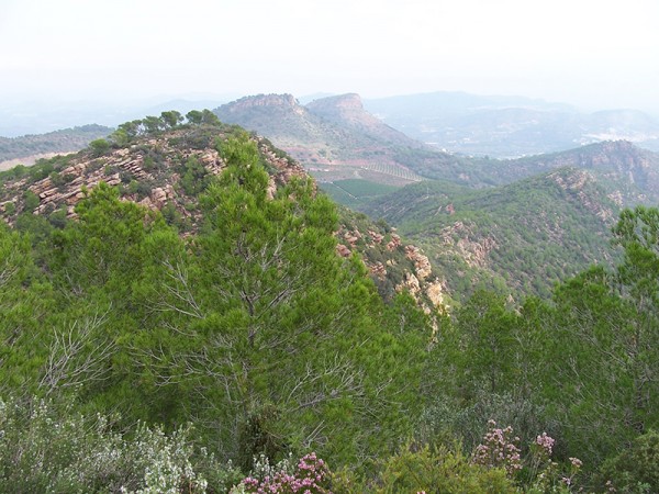 Sierra Calderona - pohled z Pico Aigua - Valencie, Španělsko