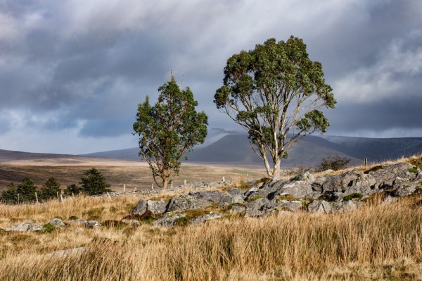 Brecon Beacons, národní park - Wales, Velká Británie