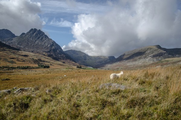 Snowdonia, národní park - Wales, Velká Británie