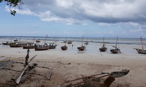 Odliv Zanzibar